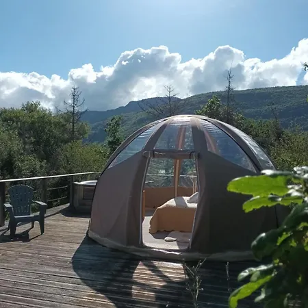 Bulle En Bois Sous Les Etoiles